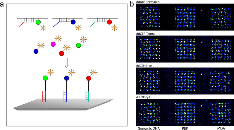 Figure 5